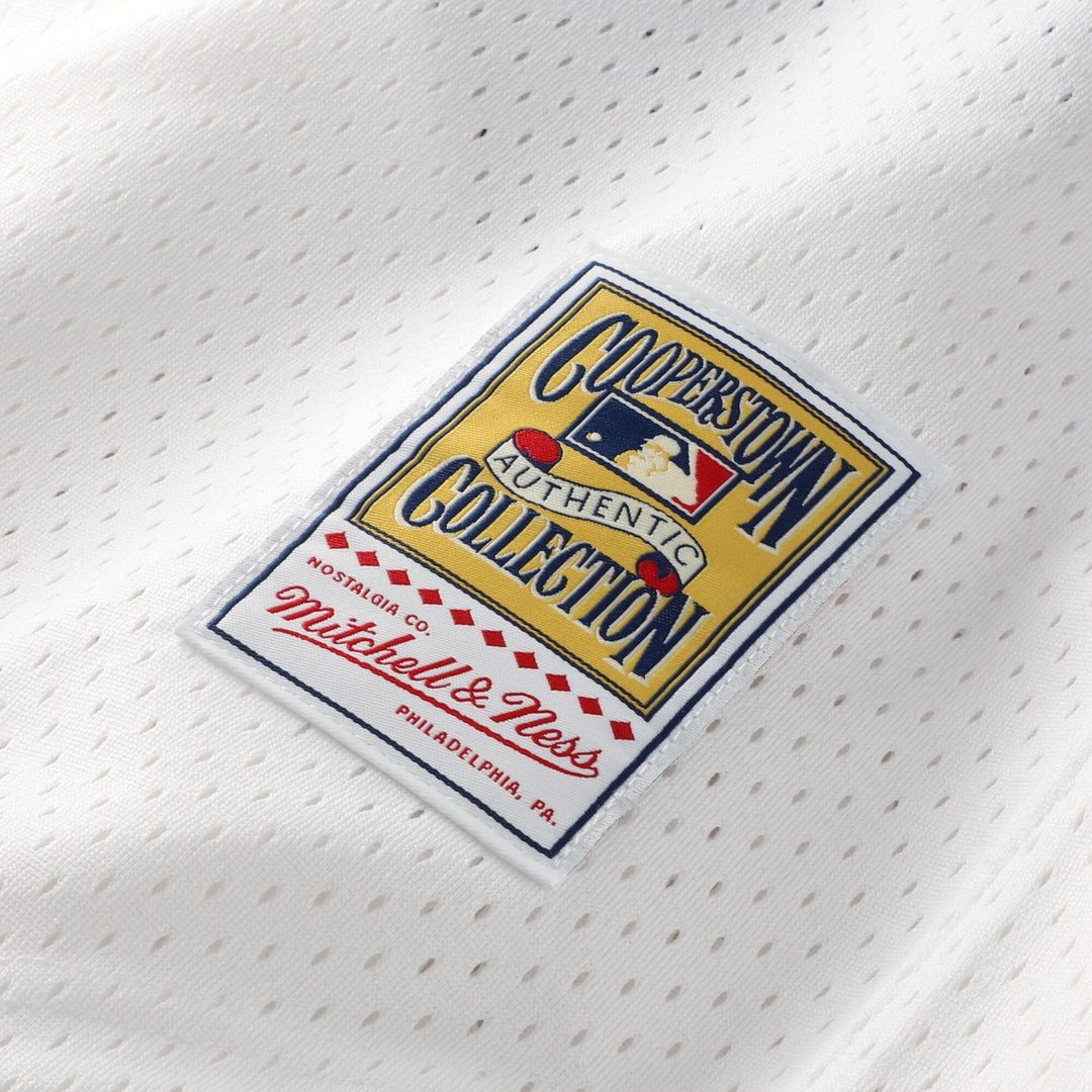 Chicago White Sox Carlton Fisk Mitchell & Ness Authentic Batting Practice Jersey - Navy Team Jersey Sports Fan Apparel