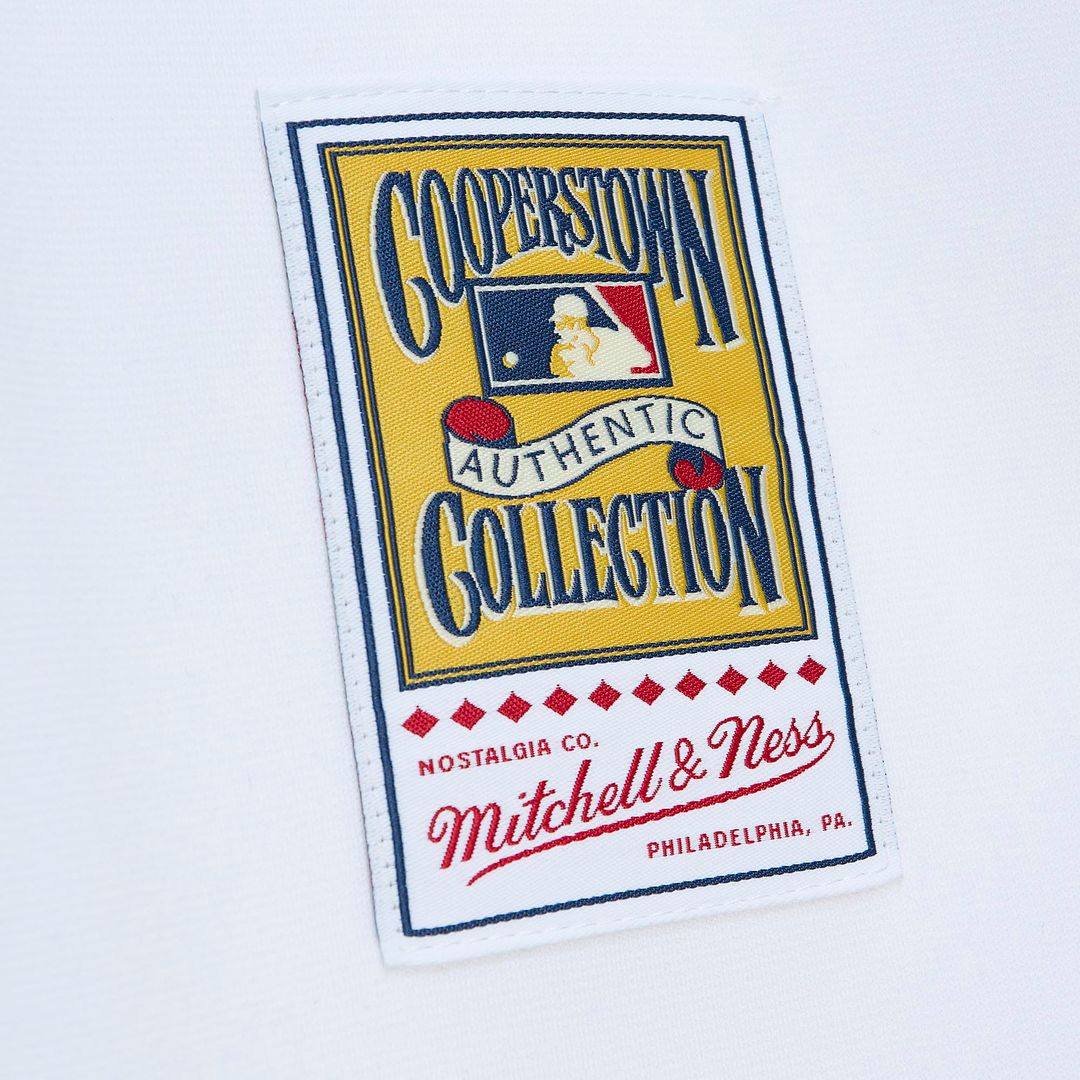 Pittsburgh Pirates Roberto Clemente Mitchell & Ness Cooperstown Authentic Jersey - White Team Jersey Sports Fan Apparel