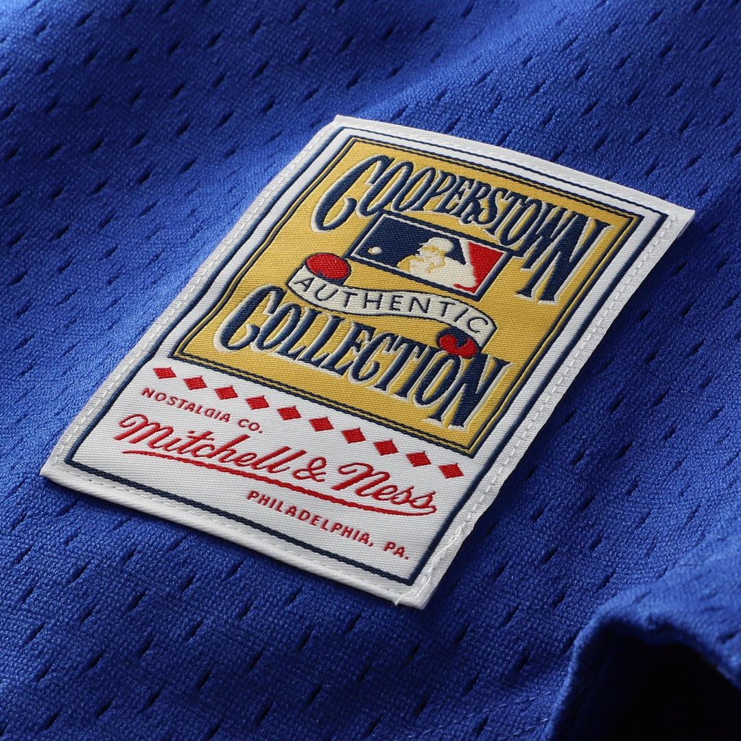 Chicago Cubs Ryne Sandberg Mitchell & Ness Cooperstown 1997 Mesh Batting Practice Button - Up Jersey - Royal Team Jersey Sports Fan Apparel