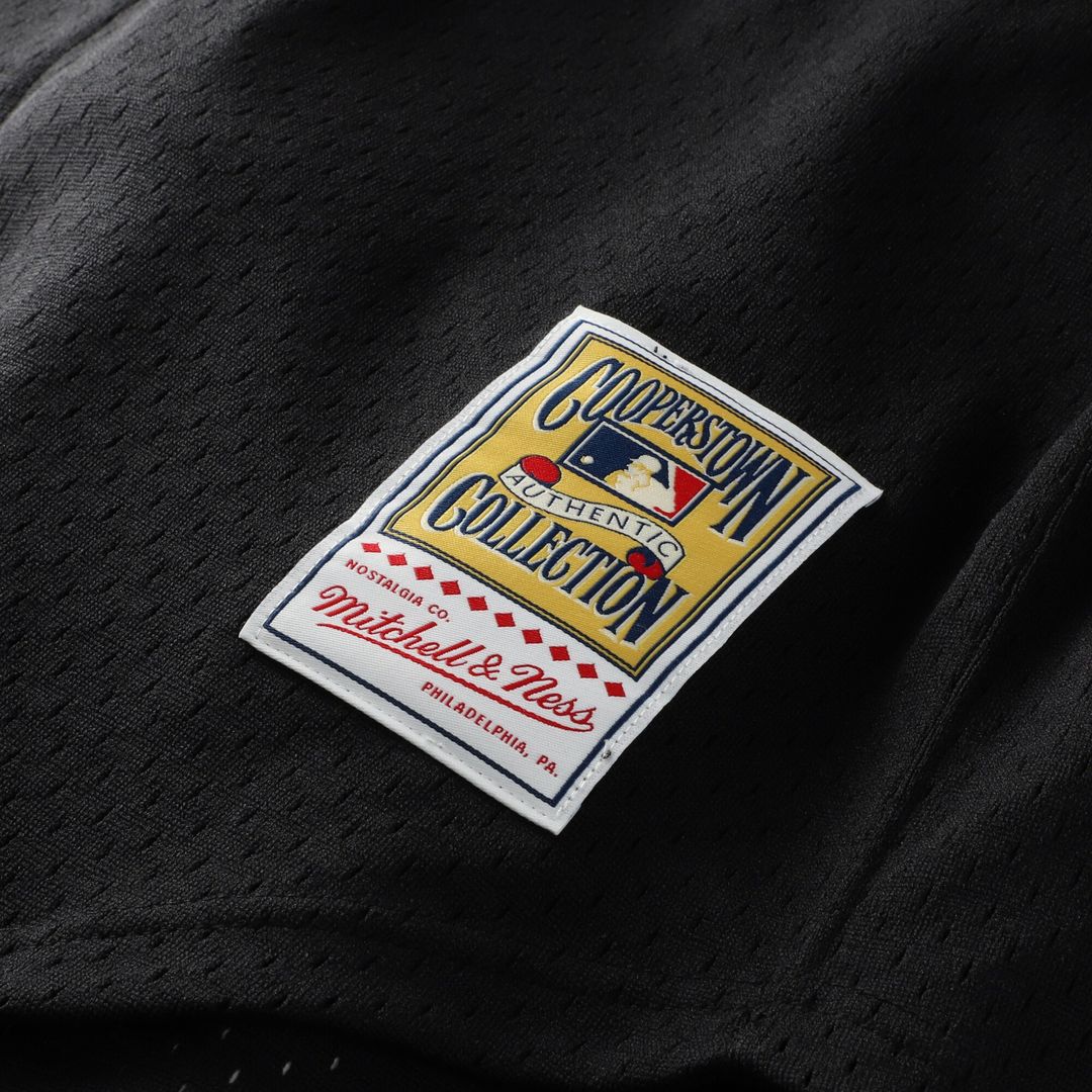 Arizona Diamondbacks Randy Johnson Mitchell & Ness Cooperstown Mesh Batting Practice Button - Up Jersey - Black Team Jersey Sports Fan Apparel