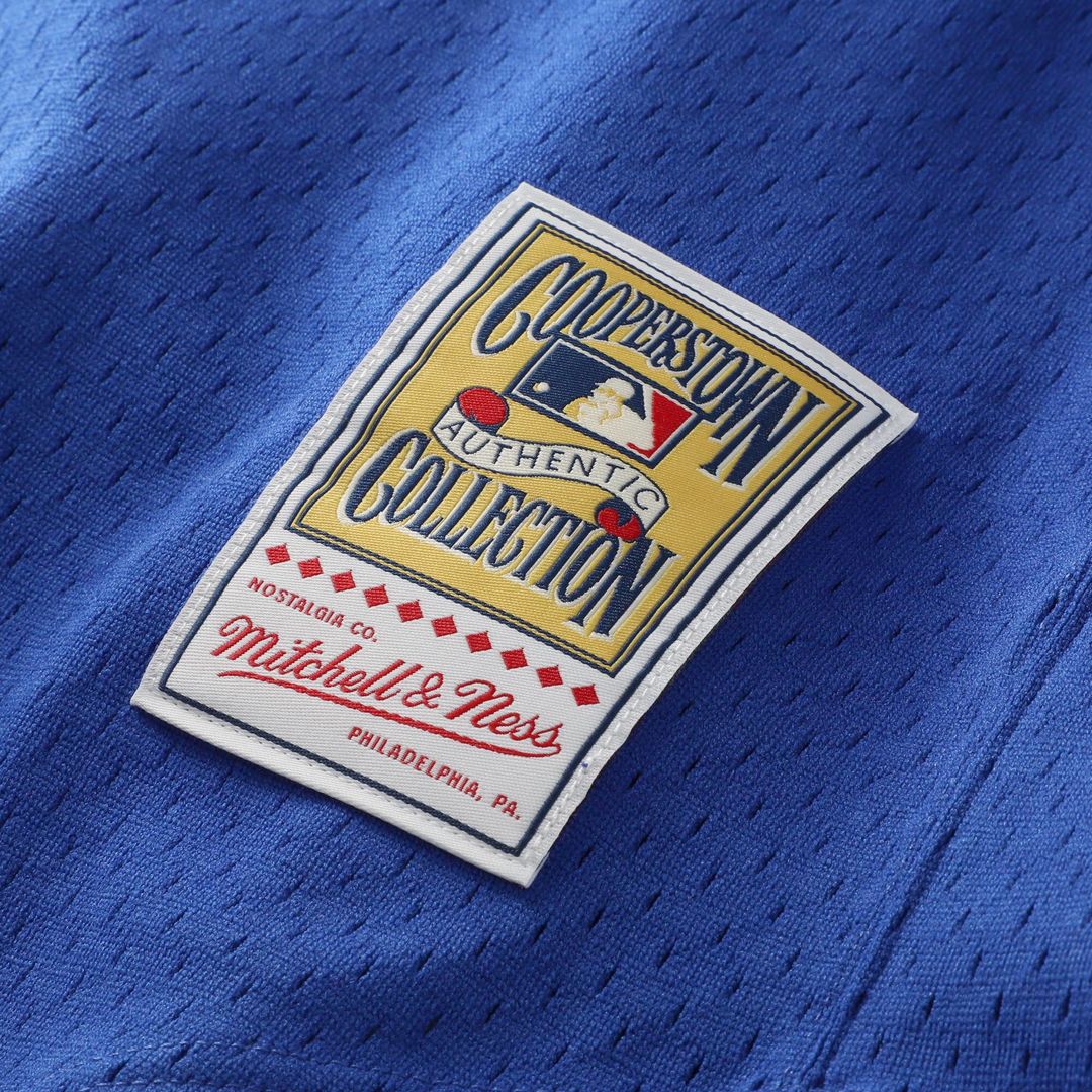 Texas Rangers Nolan Ryan Mitchell & Ness Big & Tall Cooperstown Mesh Batting Practice Jersey - Royal Team Jersey Sports Fan Apparel