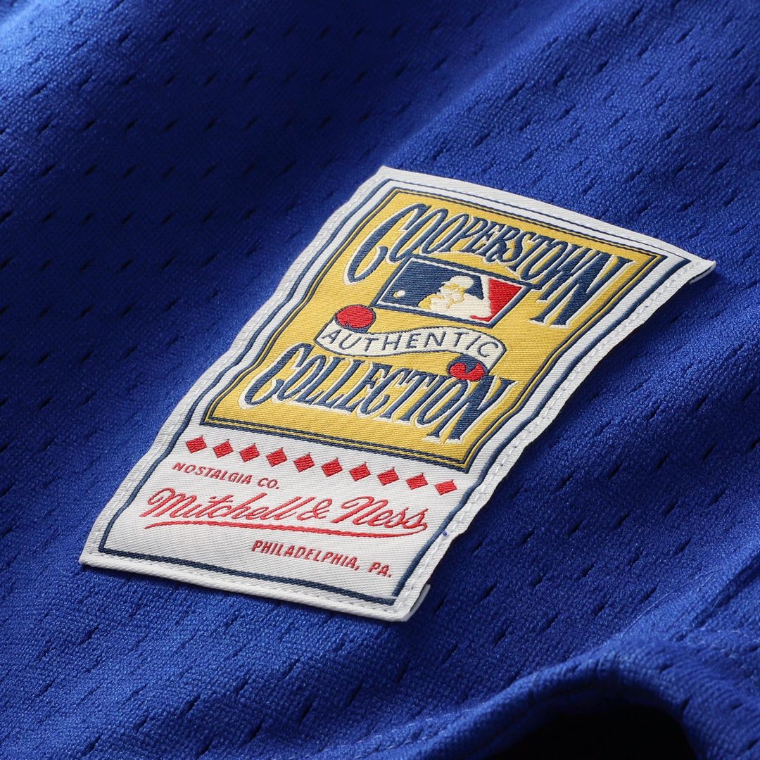 Chicago Cubs Ryne Sandberg Mitchell & Ness Cooperstown 1996 Mesh Batting Practice Button - Up Jersey - Royal Team Jersey Sports Fan Apparel