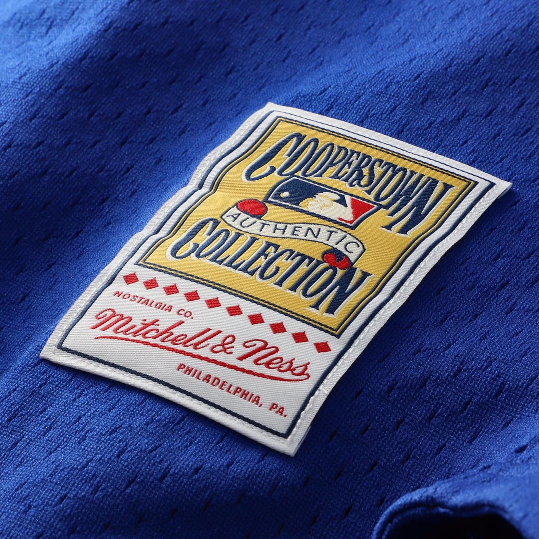 Los Angeles Dodgers Mike Piazza Mitchell & Ness Cooperstown Mesh Batting Practice Button - Up Jersey - Royal Team Jersey Sports Fan Apparel