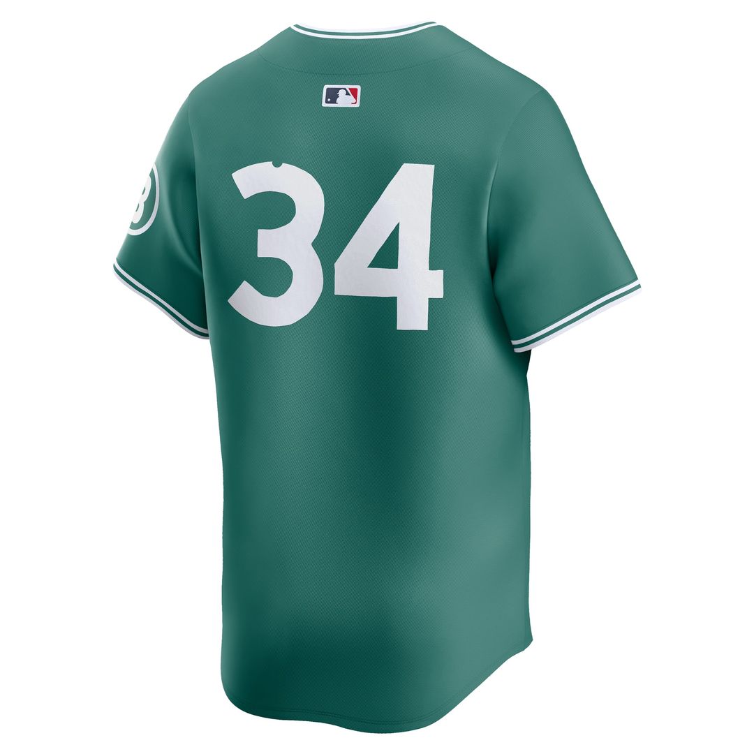 Boston Red Sox David Ortiz Nike 2025 City Connect Limited Retired Player Jersey - Green Team Jersey Sports Fan Apparel