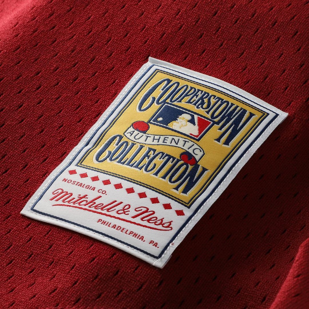 Philadelphia Phillies Lenny Dykstra Mitchell & Ness Authentic Batting Practice Jersey - Scarlet Team Jersey Sports Fan Apparel