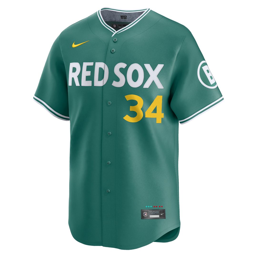 Boston Red Sox David Ortiz Nike 2025 City Connect Limited Retired Player Jersey - Green Team Jersey Sports Fan Apparel