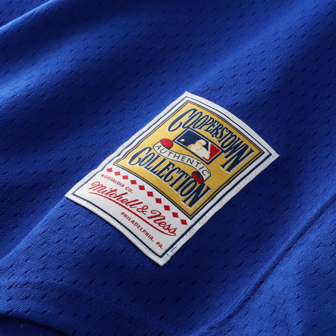 Atlanta Braves Dale Murphy Mitchell & Ness Authentic Batting Practice Jersey - Royal Team Jersey Sports Fan Apparel