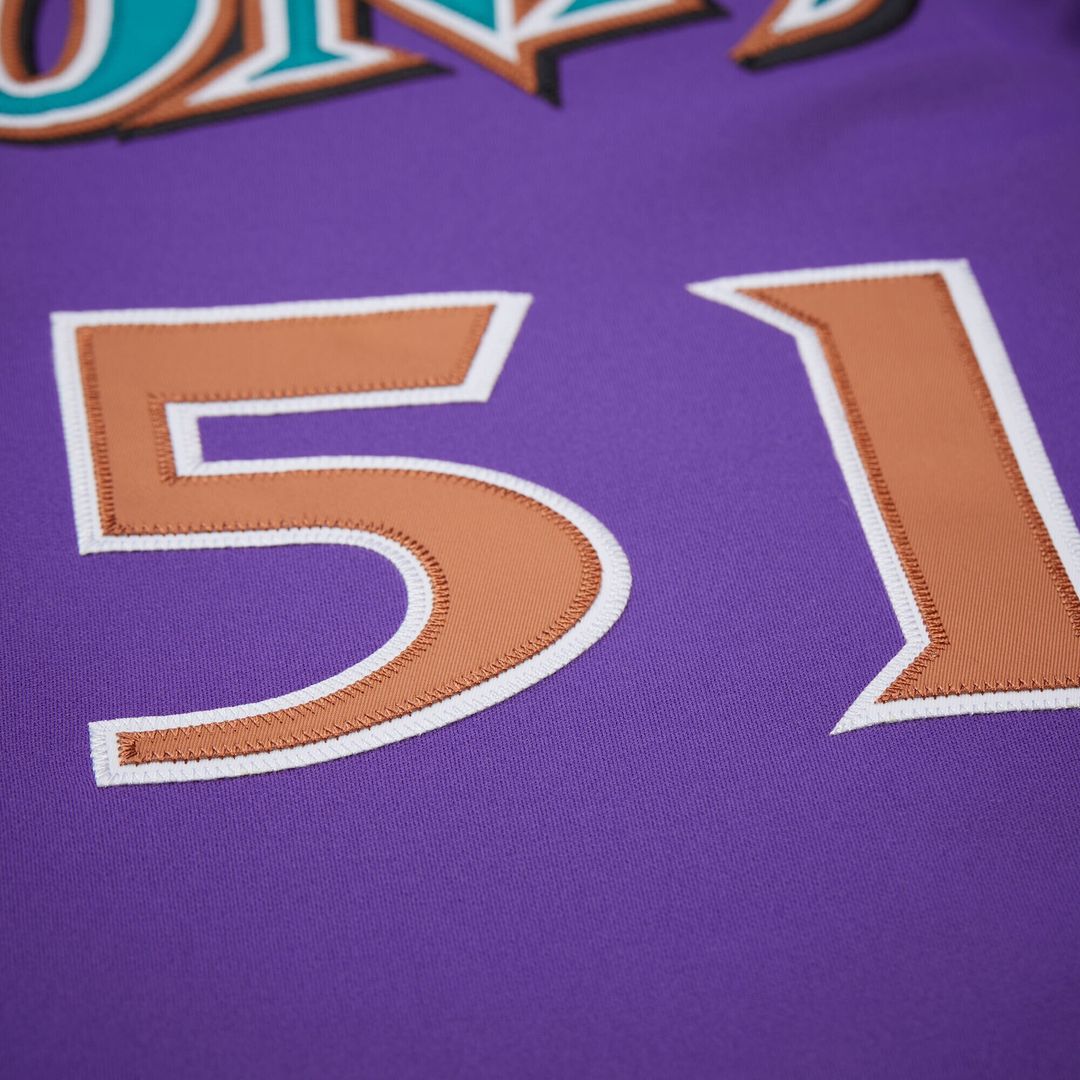 Arizona Diamondbacks Randy Johnson Mitchell & Ness 2000 Throwback Authentic Jersey - Purple Team Jersey Sports Fan Apparel