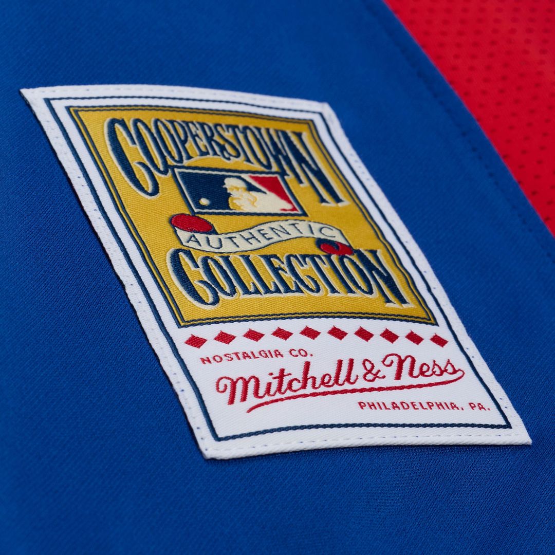 Texas Rangers Adrian Beltre Mitchell & Ness Cooperstown Mesh Batting Practice Button - Up Jersey - Royal Team Jersey Sports Fan Apparel