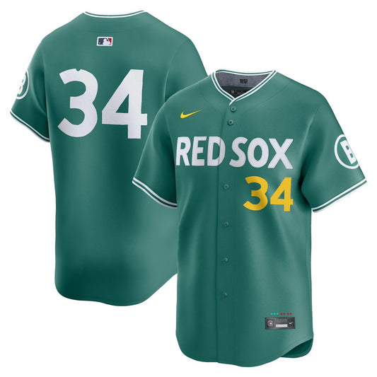 Boston Red Sox David Ortiz Nike 2025 City Connect Limited Retired Player Jersey - Green Team Jersey Sports Fan Apparel