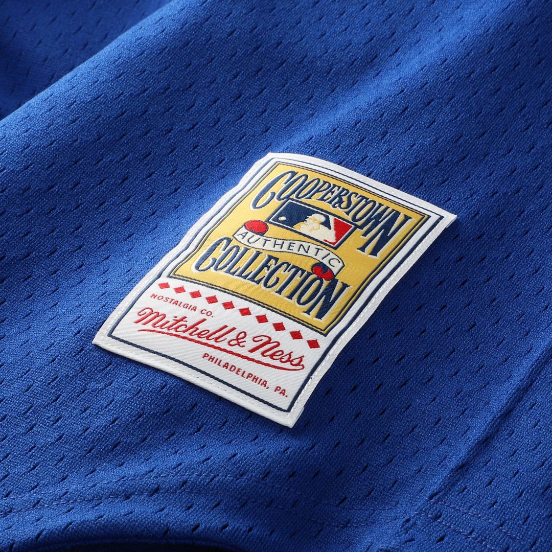 Seattle Mariners Ken Griffey Jr. Mitchell & Ness Big & Tall Cooperstown Mesh Batting Practice Jersey - Royal Team Jersey Sports Fan Apparel