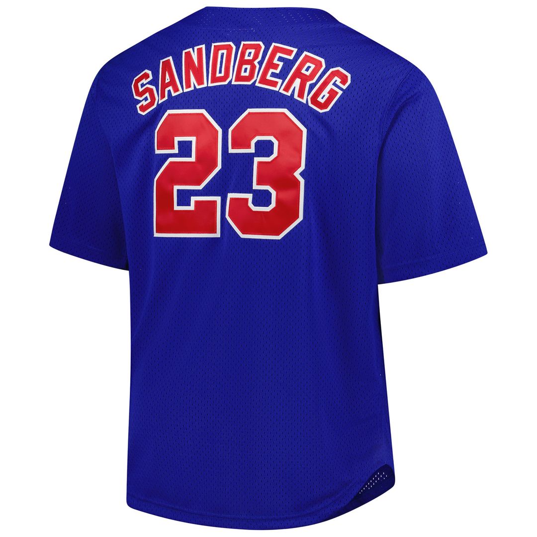 Chicago Cubs Ryne Sandberg Mitchell & Ness Big & Tall Cooperstown Mesh Batting Practice Jersey - Royal Team Jersey Sports Fan Apparel