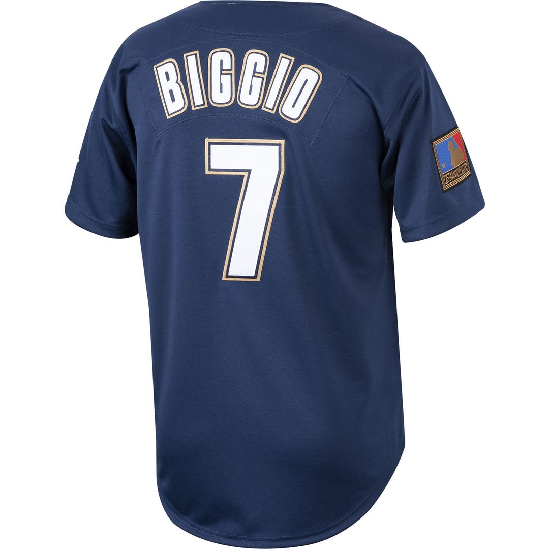 Houston Astros Craig Biggio Mitchell & Ness Cooperstown 1994 Authentic Jersey - Navy Team Jersey Sports Fan Apparel