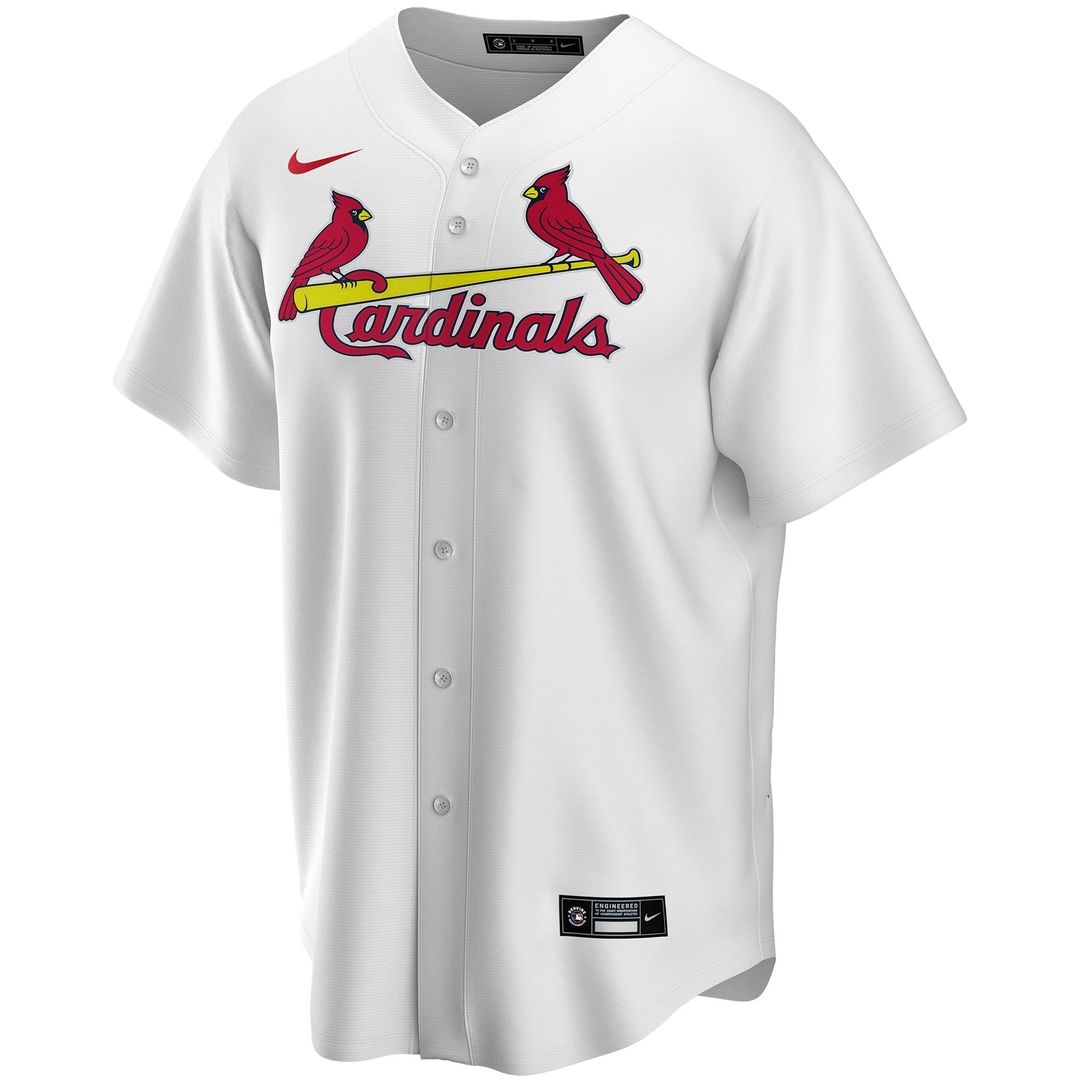 St. Louis Cardinals Nike Alternate Replica Custom Jersey - Light Blue Team Jersey Sports Fan Apparel