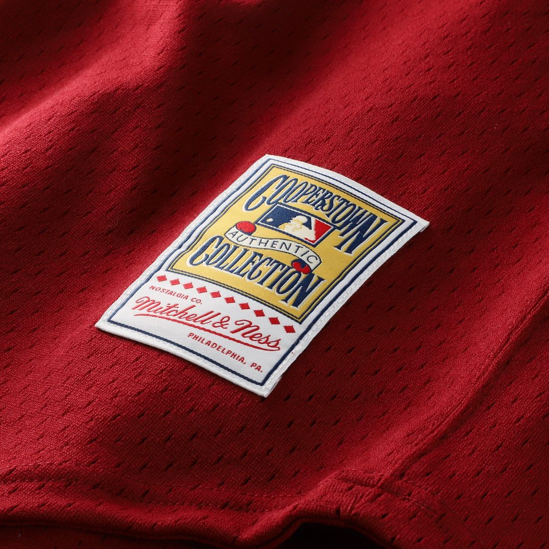 Philadelphia Phillies Darren Daulton Mitchell & Ness Authentic Batting Practice Jersey - Scarlet Team Jersey Sports Fan Apparel